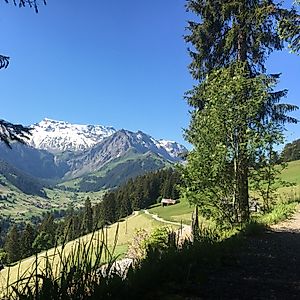 Winterwanderweg Hörnliweg – Adelboden Dorf